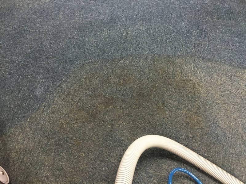 Clean carpet before and after